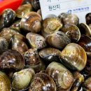 서천여자중학교 이미지