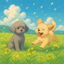 재미나개 이미지