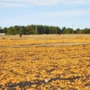 제주 올레길 2코스 이미지