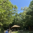 🏔️ 5월의 아차산 산행, 초록의 물결속으로! 이산산악회 5월 정기산행 후기