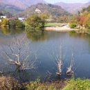 구곡지 이미지
