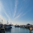 (주)마도섬펜션 | [충남/태안] 몽산포해수욕장 여행기｜해루질 실패 후 정아횟집과 마도 드라이브