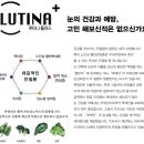 빠리안경원 이미지