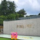 파인트리키즈풀빌라 이미지