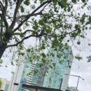 노동부 1 | 고용노동부 신고 후기 - 1