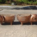 알낳는공인중개사사무소 이미지