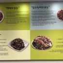 명태어장 강일점 이미지