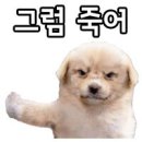 밈