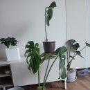 하당남부로 이미지