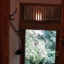 새소리 물소리 이미지