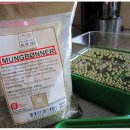 녹두로R 이미지