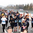 2030산악회 서울 스포츠 서울 마라톤 대회 11월12일 일요일 이미지