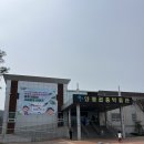 양평군 환경사업소 | 양평 아이랑 가볼만한 곳 실내체험 양평곤충박물관 아이랑 방문 후기 🐛