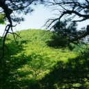 오름행정사무소 이미지