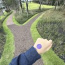 (주)포비 | 제주도 서귀포 겨울 가볼만한곳, 포도뮤지엄 방주교회 포비