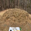 남부방앗간 | 26년 정월대보름 오곡밥과 나물, 남부시장 나물 구입 후기