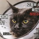 김통영해병수학학원 | 수학이 고통이었나요? 평촌수학학원 해병수학이 해결책입니다!