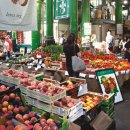 인심이네 이미지