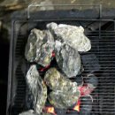 반딧불농원 이미지