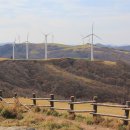 바위목장 이미지