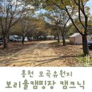 모곡 | 홍천 모곡유원지 보리울 캠핑장 당일피크닉 후기!