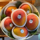 이천청과 이미지