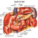 Re : 이 Pan 辭 Pan ⑥ "正誤表" 이미지