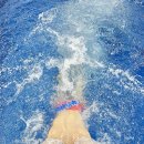 수영구건강증진센터 | 용인 후기 1등::수영장 가기 부끄러운 왕초보 주목&amp;수영강습 개인레슨