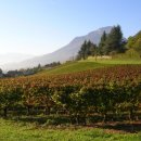 금강4농장 이미지