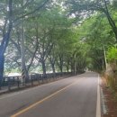 동경장여관 이미지