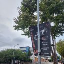 2024 국립심포니 오케스트라 초청 이미지