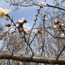 데이앤데이 이미지