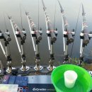 보은붕어낚시 이미지