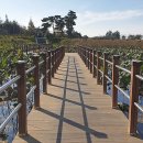 지사울공원 이미지