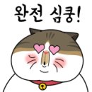 금호테라스공인중개사사무소 이미지