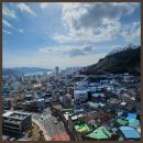 SUFIA한솔부동산중개사무소 | 마산부동산 창원의 신뢰할 수 있는 한솔부동산 완벽한 중개 서비스