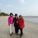 장흥군민회관 이미지