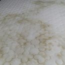 포일자이세탁 이미지