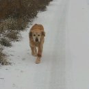 너무나 갑작스런 이별에 통곡을 합니다. 이미지