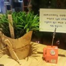 부부 헤어샵