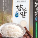양평군농협조합공동사업법인 이미지