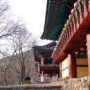 진주 청곡사 괘불함 | [진주여행] 진주가볼만한곳 월아산 청곡사(靑谷寺)...