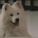 좋은데