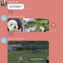 몽글몽글 펫 이미지