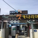강릉대구머리찜 - 당진시 | 강릉대구머리찜