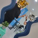 핑퐁 | [역곡 탁구]올나잇핑퐁 무인탁구장 이용후기