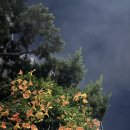 순환로 226번길 | [일상] 2025년 7월