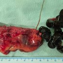 새천년 내과의원 이미지