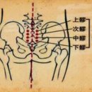 비뇨기 질환 이미지