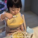 김치쿡 | 아기김치 무첨가 건강 반찬 베리쿡 유아 김치 후기